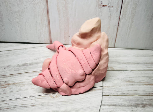 3D Printed Articulated Sting Ray + Rock Base